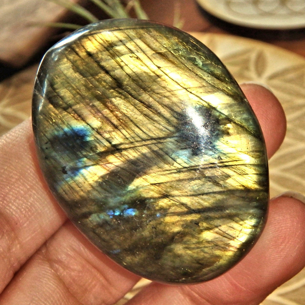 Extreme Golden Frosted Grids of Flash Labradorite Hand Held Palm Stone - Earth Family Crystals