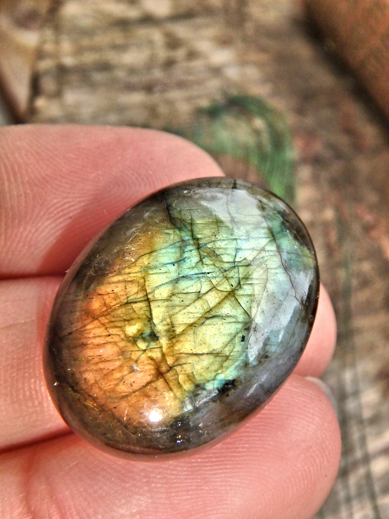 Pretty Moving Flashes of Color Labradorite Cabochon - Earth Family Crystals