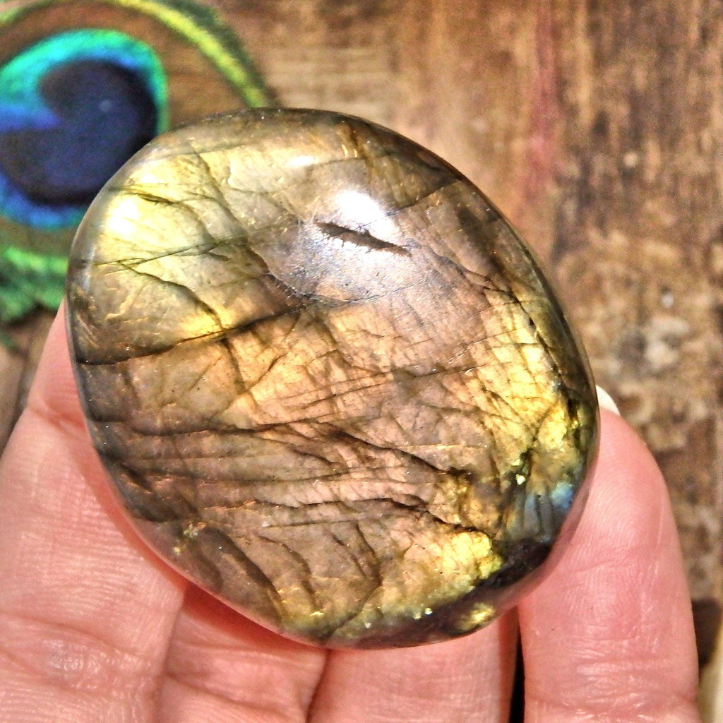 Uplifting Sunshine Yellow & Orange Labradorite Palm Stone - Earth Family Crystals