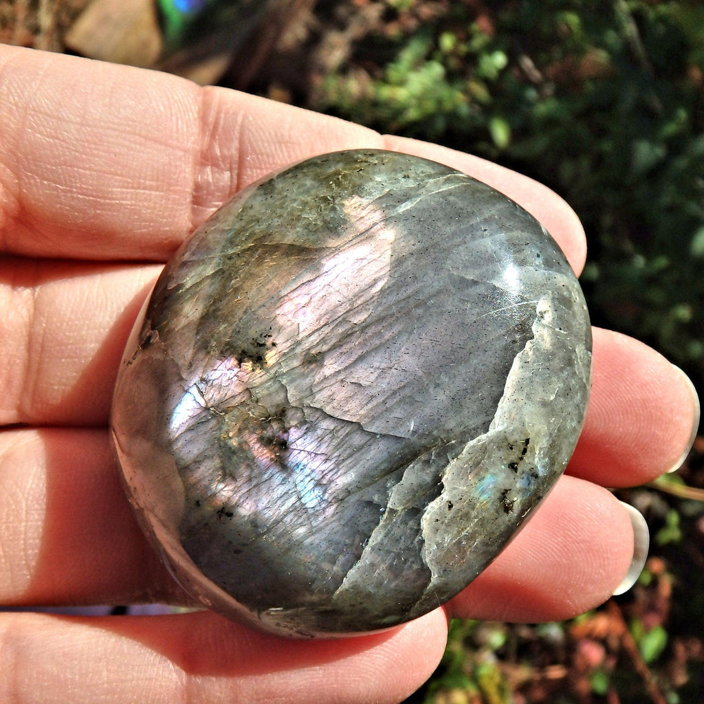 Rare Frosted Blushing Pink & Purple Flashes Labradorite Smooth Palm Stone - Earth Family Crystals