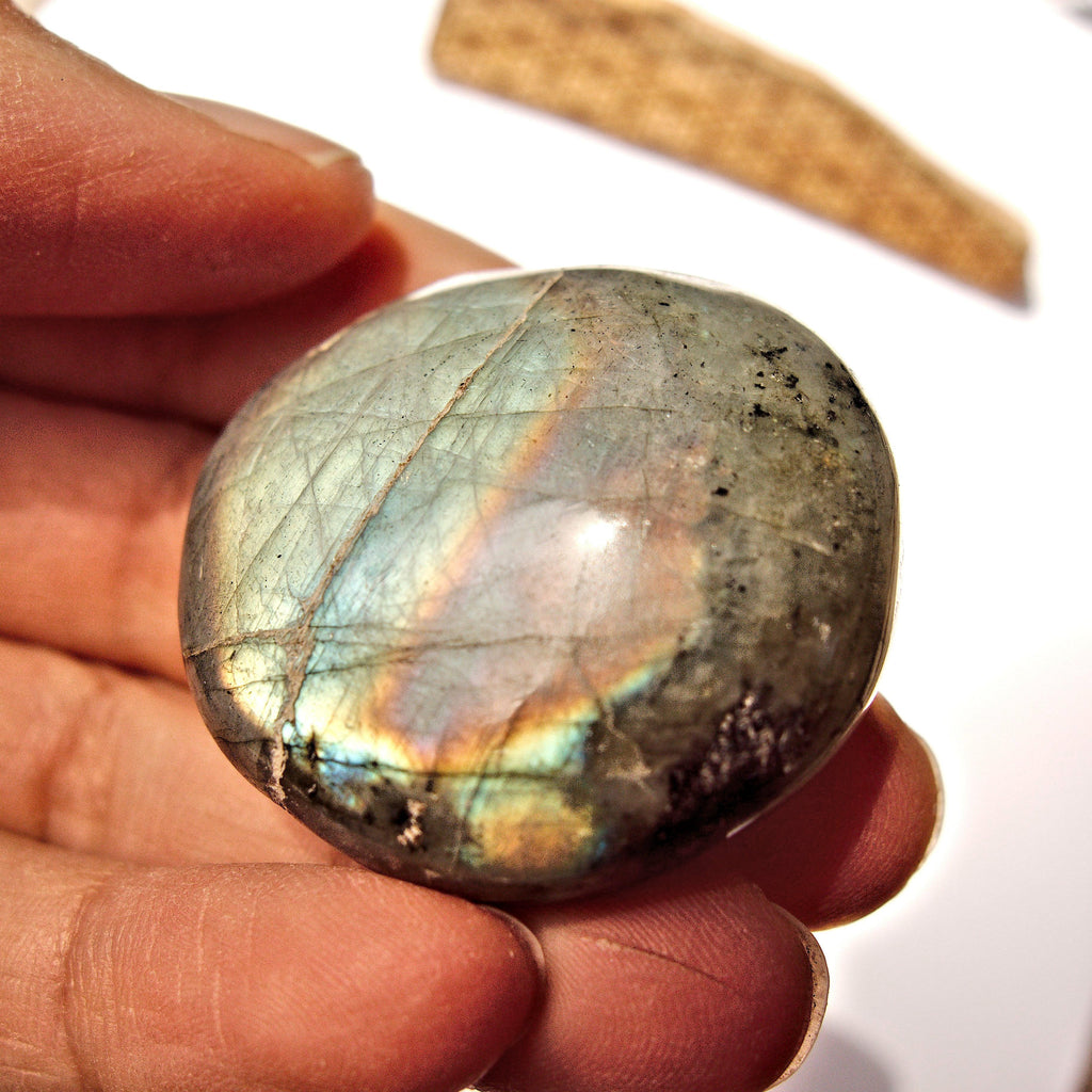 Pretty Rainbow Flashes Labradorite Palm Stone #3 - Earth Family Crystals