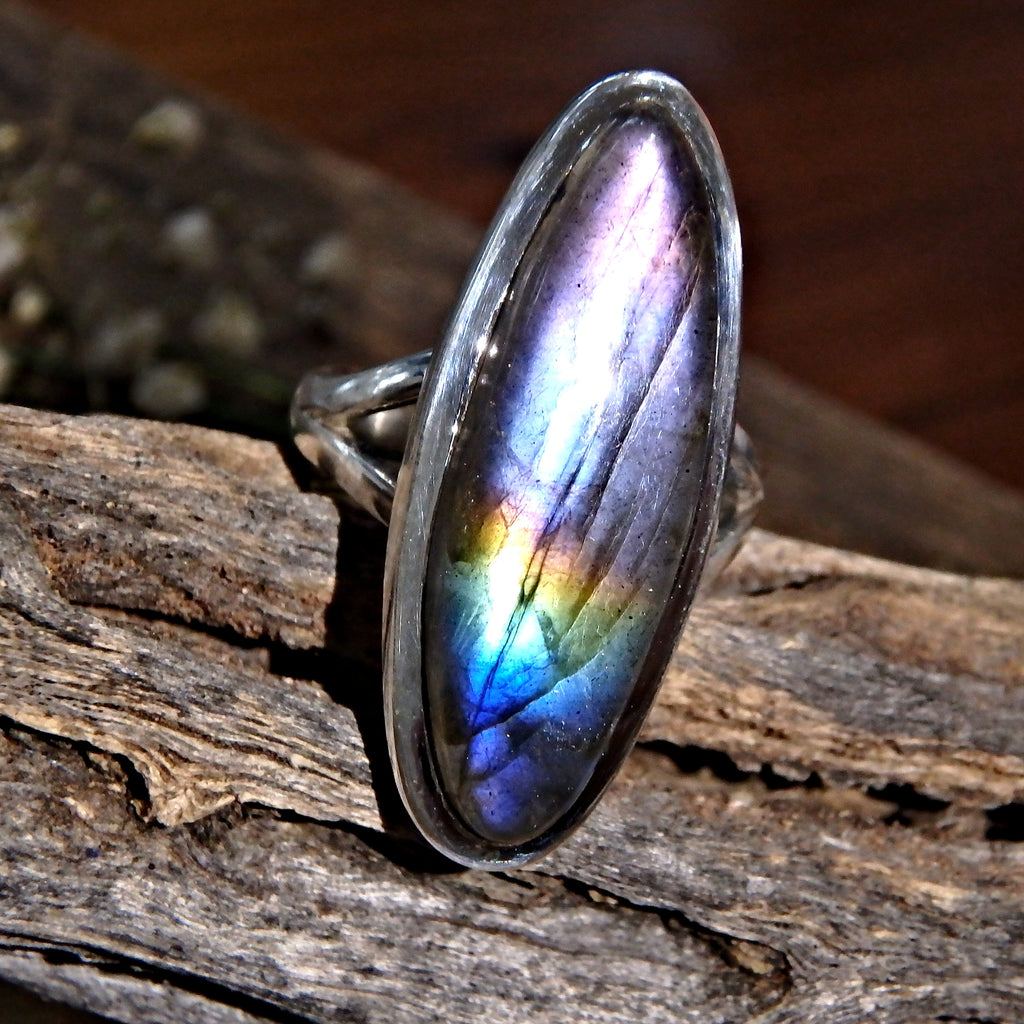 Super Stunning Rainbow of Flashes Labradorite Ring in Sterling Silver (Size 6) - Earth Family Crystals
