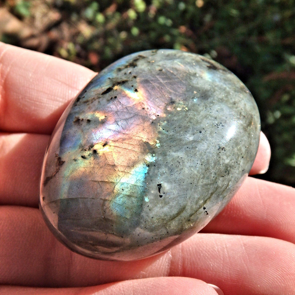 Rainbows of Flashes Labradorite Smooth Palm Stone1 - Earth Family Crystals
