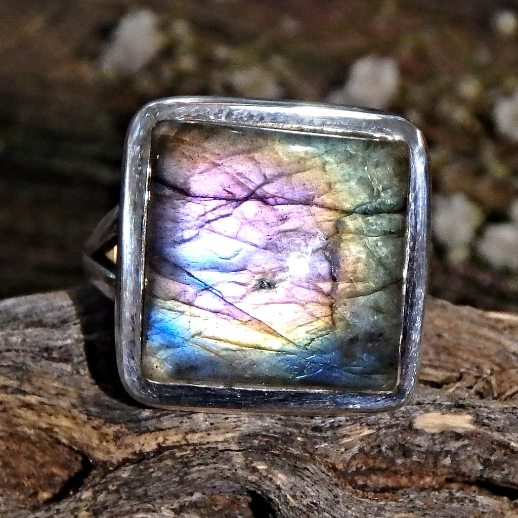 Incredible Purple & Rainbow Flash Labradorite Ring in Sterling Silver (Size 7.5) - Earth Family Crystals