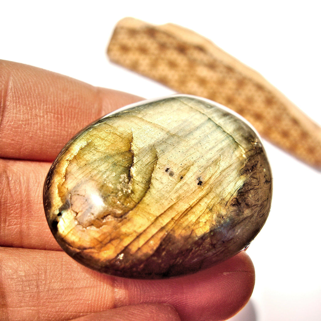 Intense Double Sided Flashes Labradorite Palm Stone #2 - Earth Family Crystals