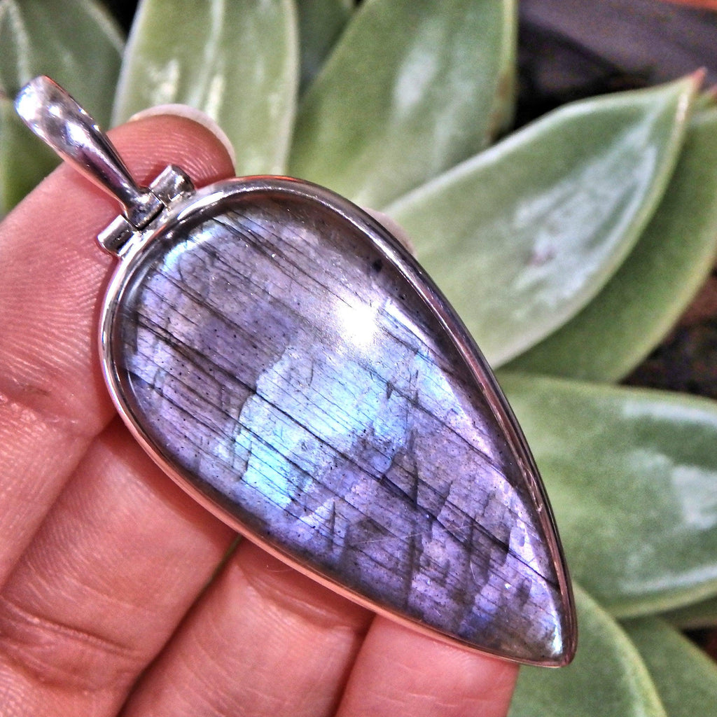 Frosted Purple Large Labradorite Sterling Silver Pendant (Includes Silver Chain) - Earth Family Crystals