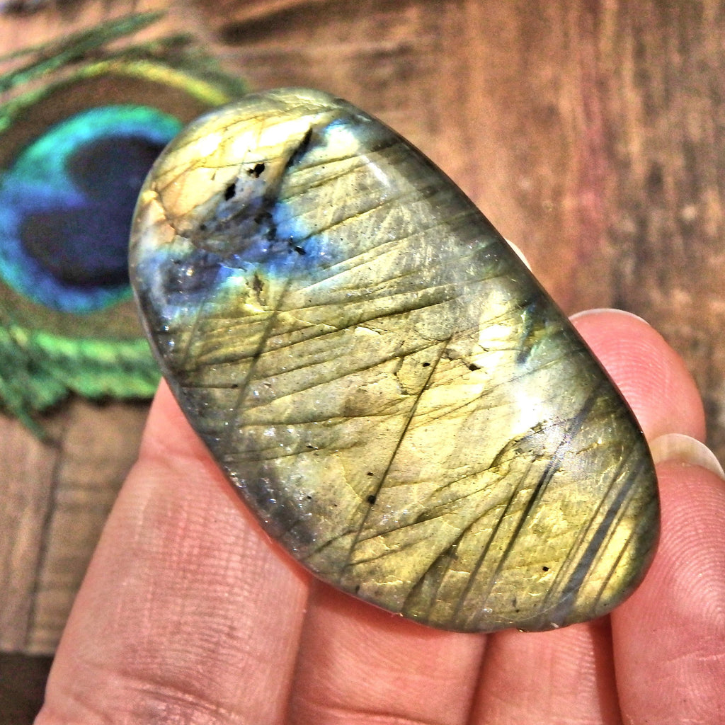 Brilliant Yellow Flash Labradorite Palm Stone 8 - Earth Family Crystals