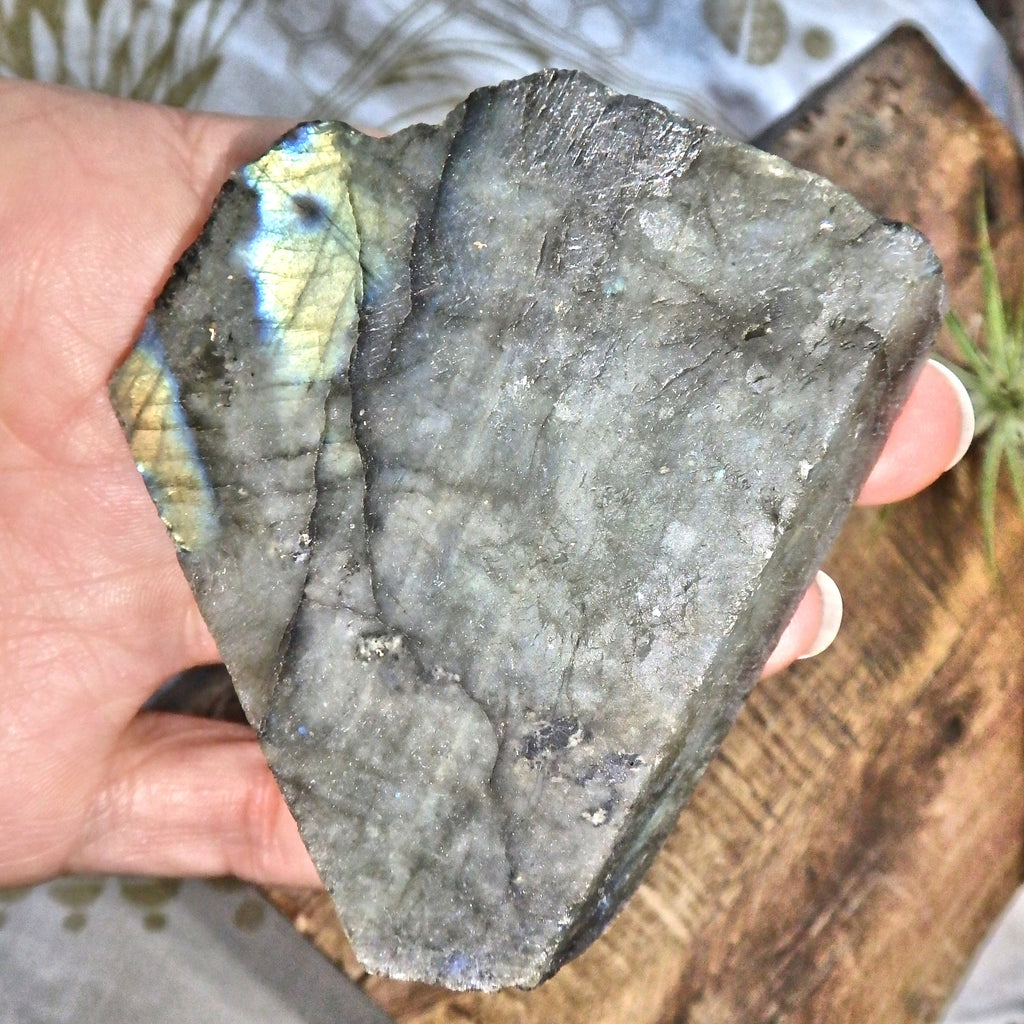 Partially Polished Labradorite Free Form Specimen From Madagascar - Earth Family Crystals