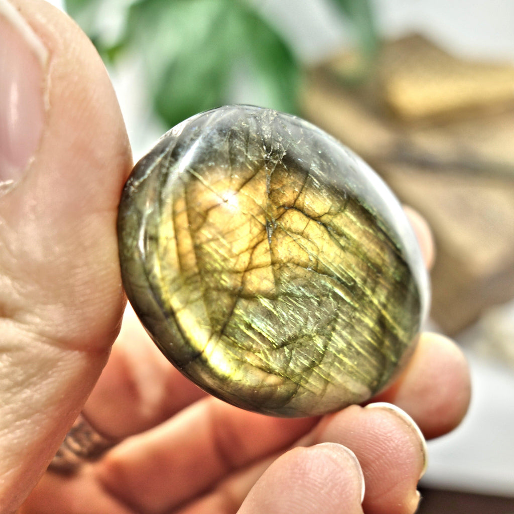 Vibrant Orange Flash Labradorite Palm stone 2 - Earth Family Crystals