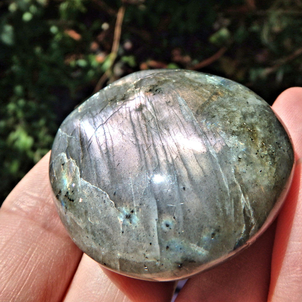 Rare Frosted Blushing Pink & Purple Flashes Labradorite Smooth Palm Stone - Earth Family Crystals