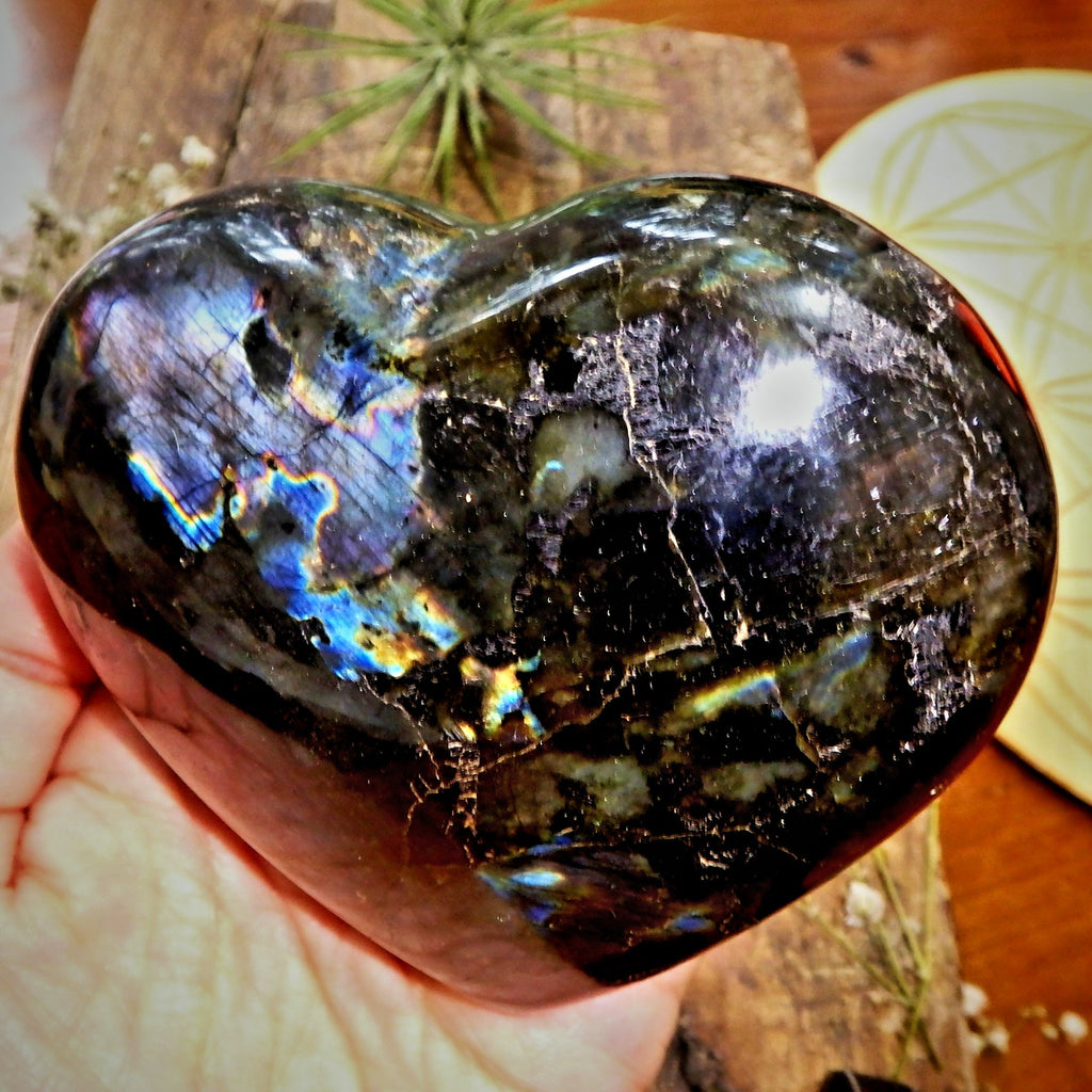 Rainbows of Flash Large Labradorite Love Heart with Satin Black Shimmer - Earth Family Crystals