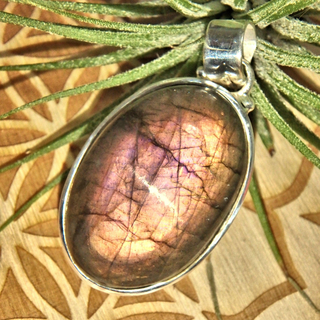Incredible Rare Blushing Pink & Peach Labradorite Sterling Silver Pendant (Includes Silver Chain) - Earth Family Crystals
