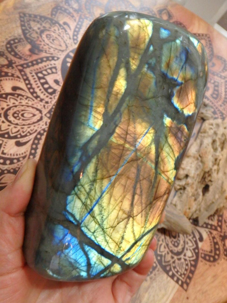 Lush Flashes of Orange & Golden Patterns Large Standing Labradorite Specimen - Earth Family Crystals