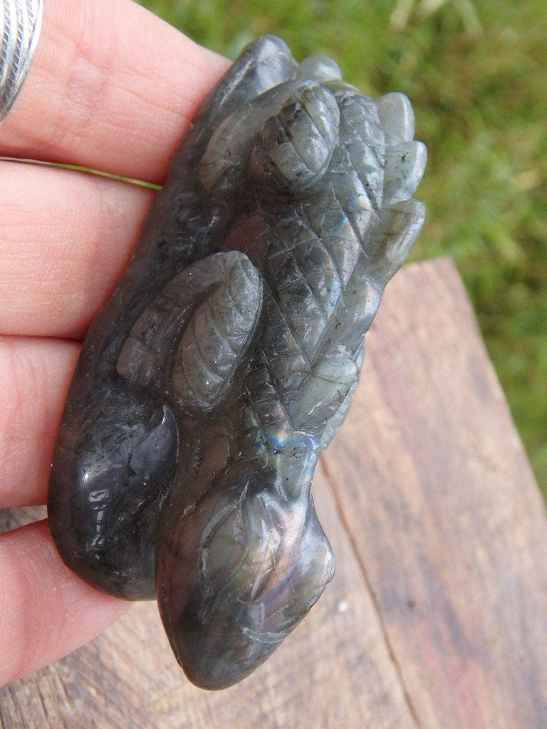 Adorable Pink Flashes Labradorite Lizard Carving - Earth Family Crystals