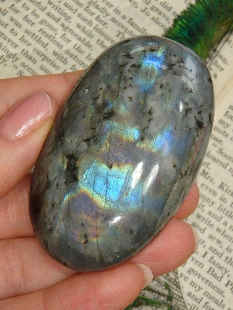 Incredible Flashes of Blue Labradorite Hand Held Specimen 2 - Earth Family Crystals