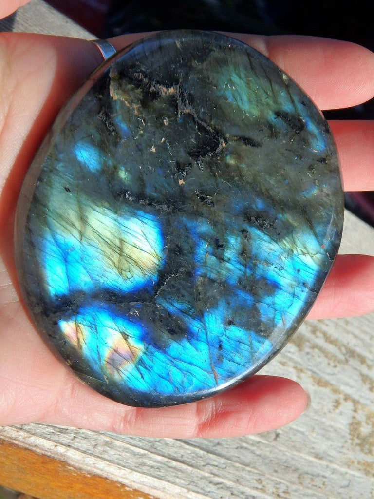 Large Flat Multi Flash Labradorite Specimen Ideal for Body Layouts - Earth Family Crystals