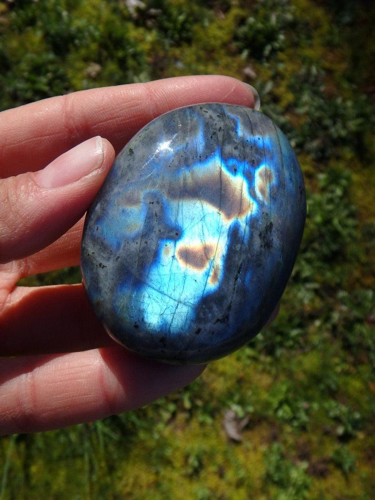Rainbow of Flashes Labradorite Palm Stone 2 - Earth Family Crystals