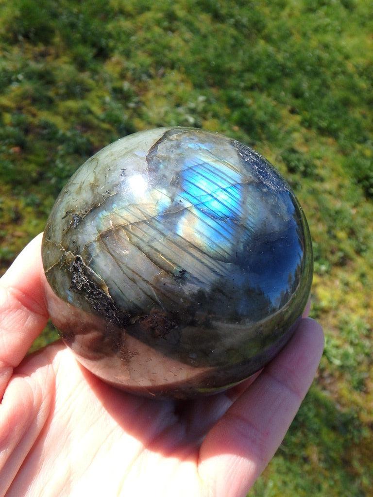 Jumbo Warm Golds & Blue Flashes Labradorite Gemstone Sphere Carving - Earth Family Crystals