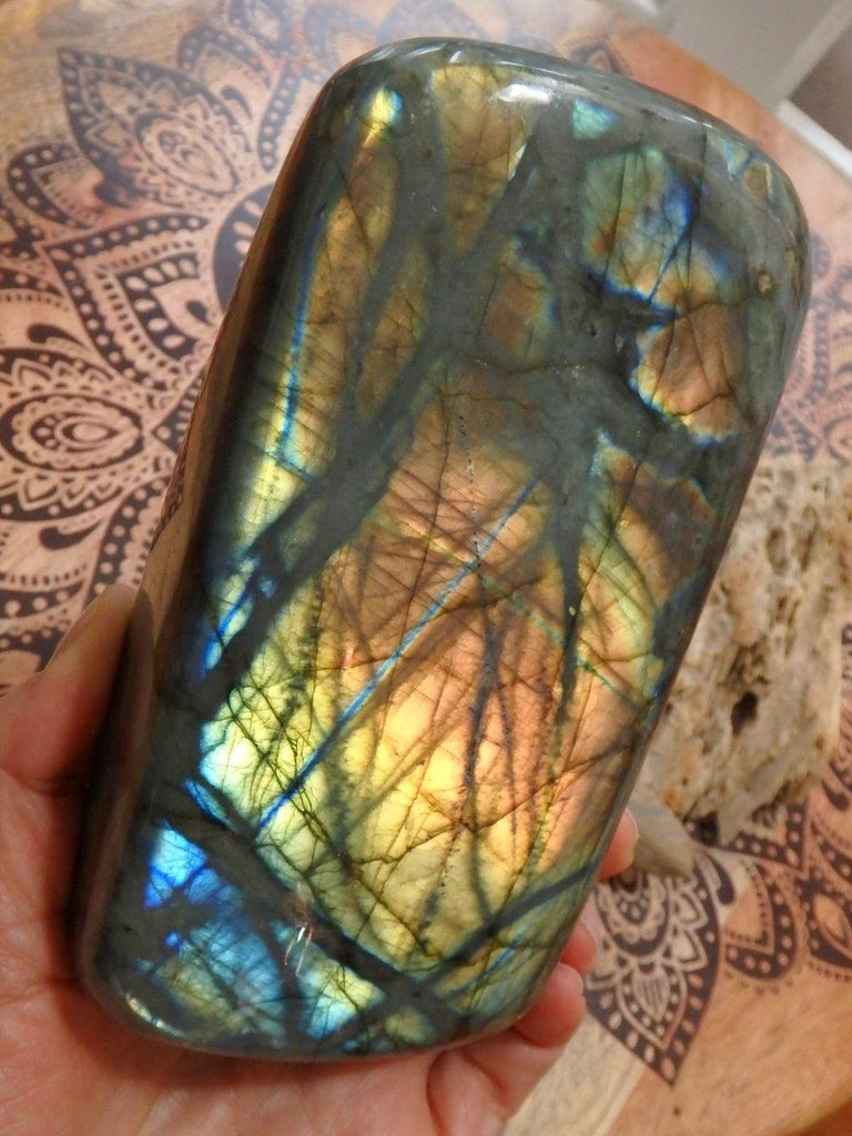 Lush Flashes of Orange & Golden Patterns Large Standing Labradorite Specimen - Earth Family Crystals