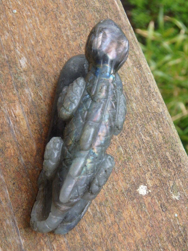 Adorable Pink Flashes Labradorite Lizard Carving - Earth Family Crystals
