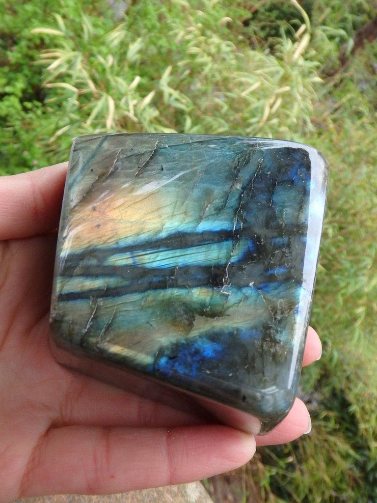Standing Multi Flash Labradorite Specimen From Madagascar - Earth Family Crystals