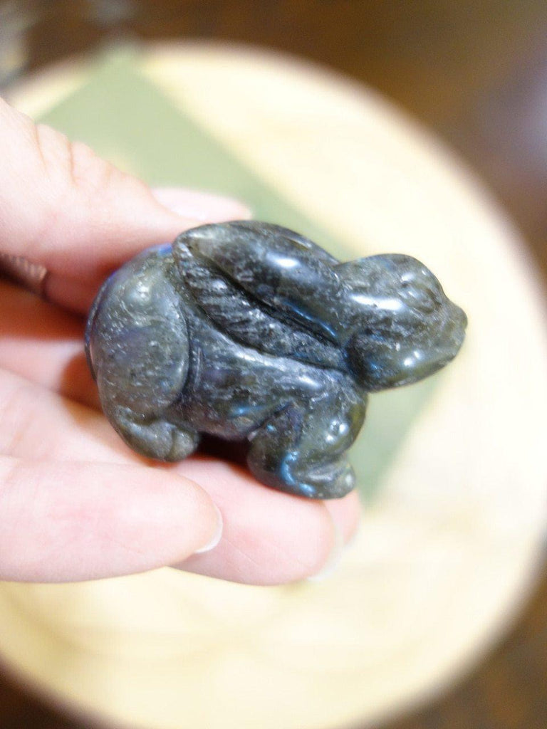 Absolutely Adorable Labradorite Rabbit Carving - Earth Family Crystals