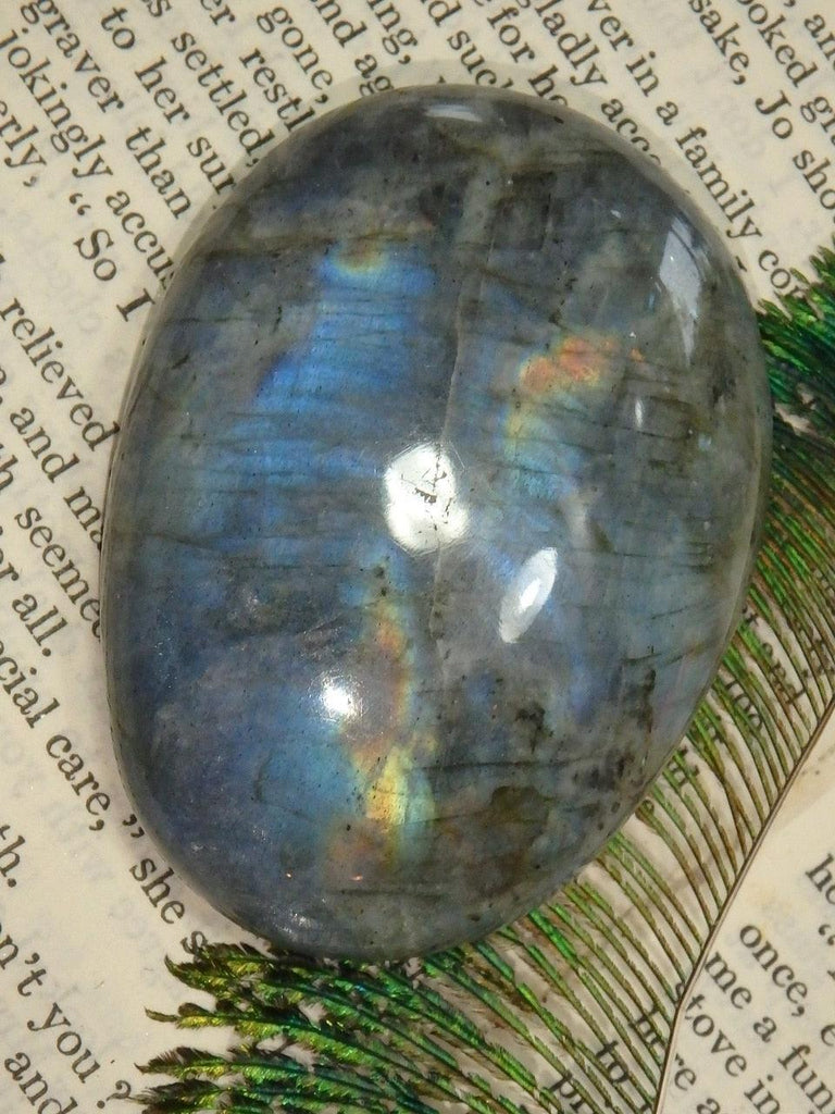 Incredible Flashes of Blue Labradorite Hand Held Specimen 1 - Earth Family Crystals
