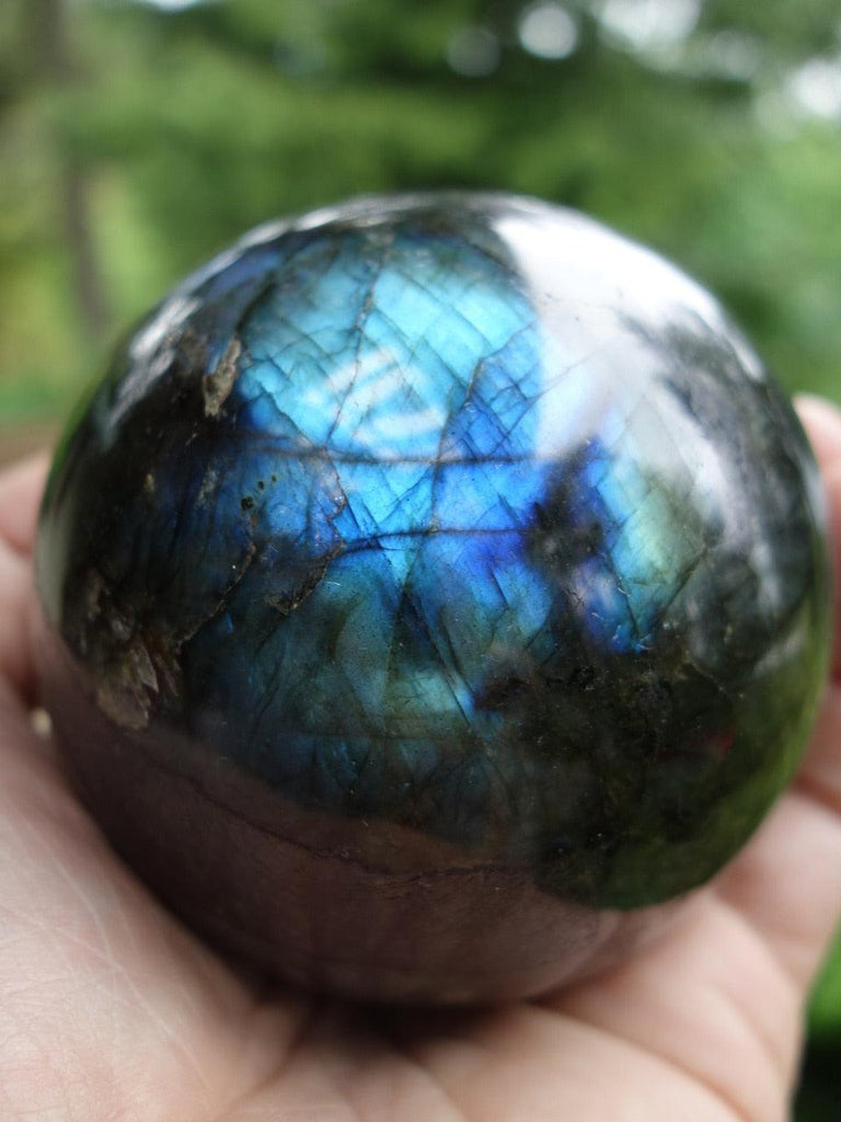 XL Labradorite Blue & Golden Dreams Sphere Carving - Earth Family Crystals