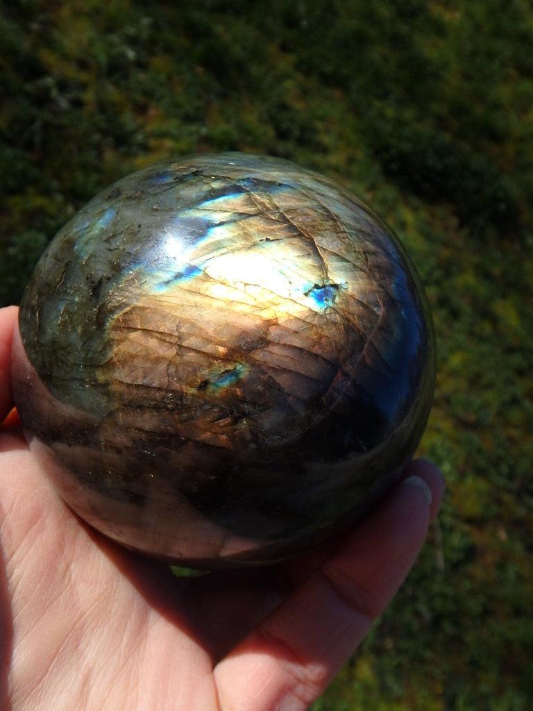 Jumbo Warm Golds & Blue Flashes Labradorite Gemstone Sphere Carving - Earth Family Crystals