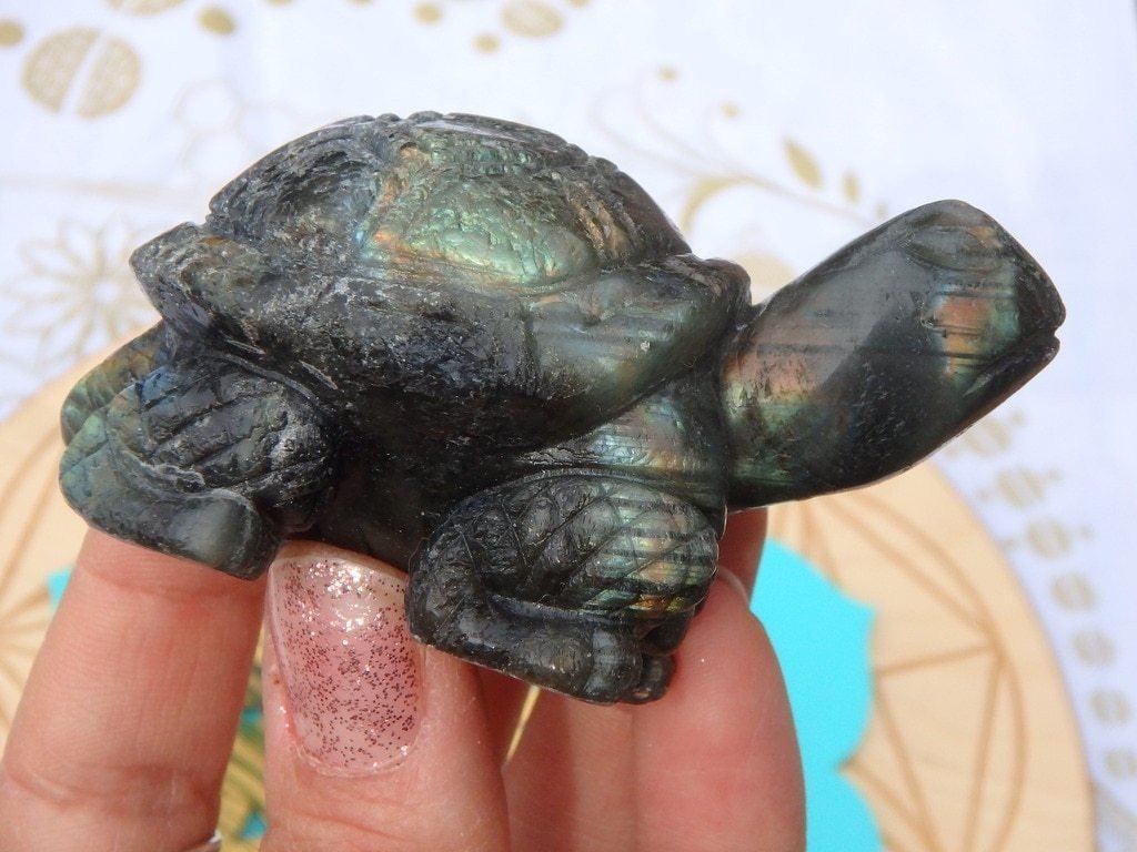 Adorable Labradorite Turtle Carving - Earth Family Crystals