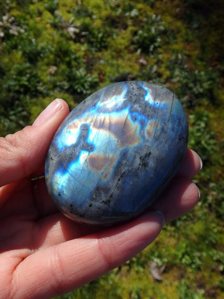 Rainbow of Flashes Labradorite Palm Stone 2 - Earth Family Crystals