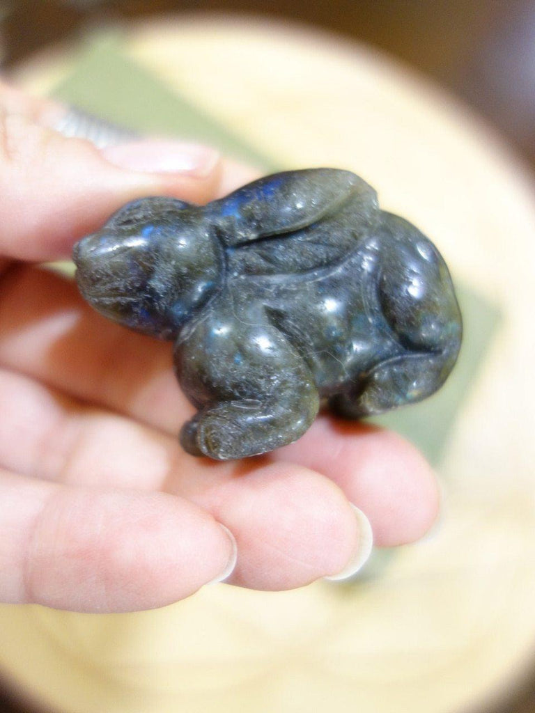 Absolutely Adorable Labradorite Rabbit Carving - Earth Family Crystals