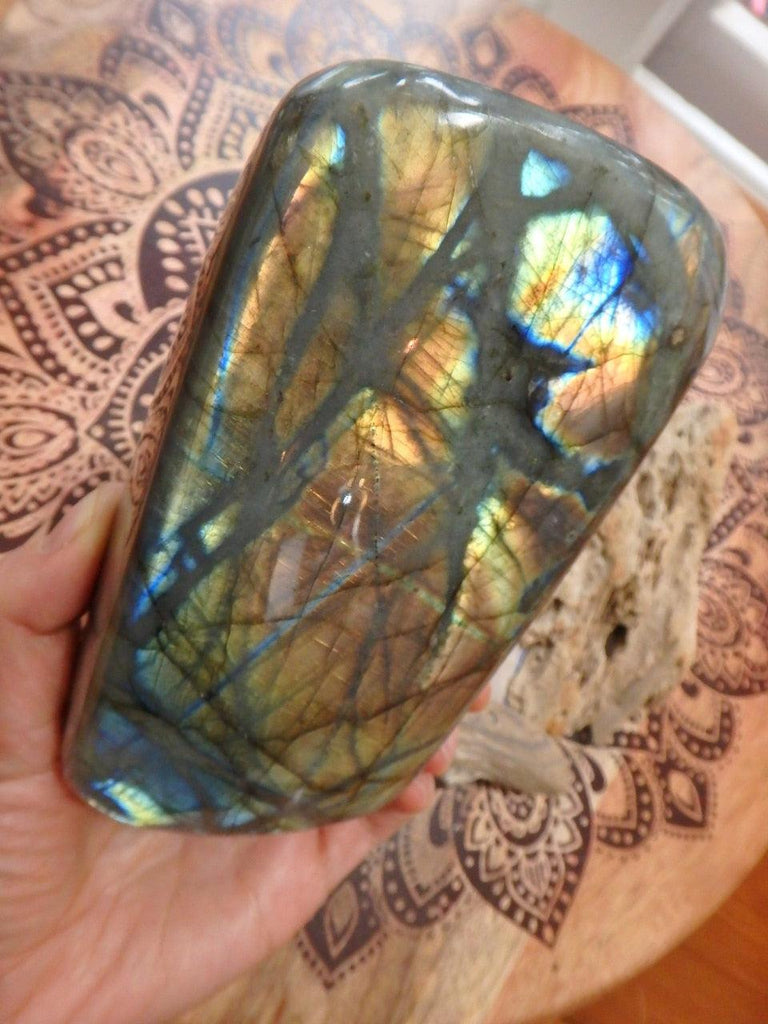 Lush Flashes of Orange & Golden Patterns Large Standing Labradorite Specimen - Earth Family Crystals