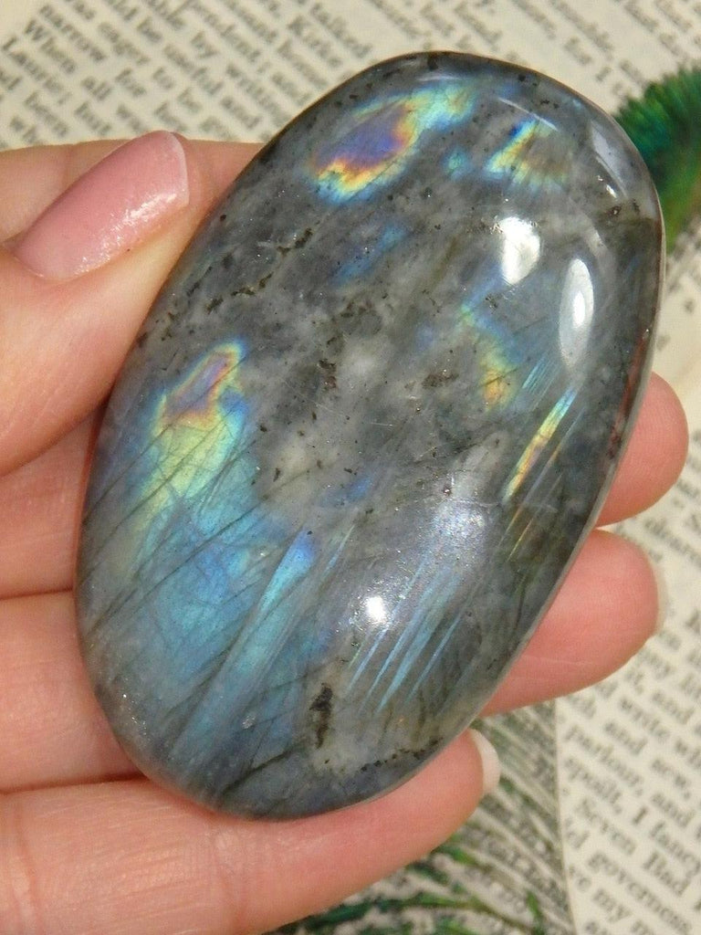 Incredible Flashes of Blue Labradorite Hand Held Specimen 2 - Earth Family Crystals