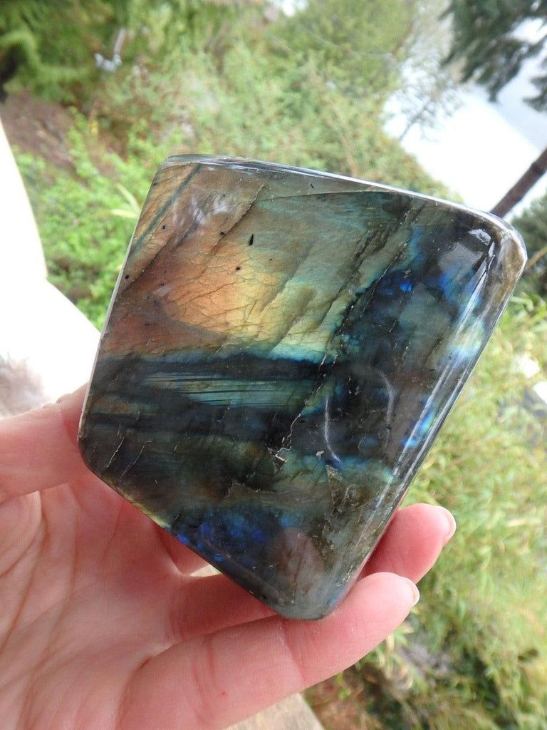 Standing Multi Flash Labradorite Specimen From Madagascar - Earth Family Crystals