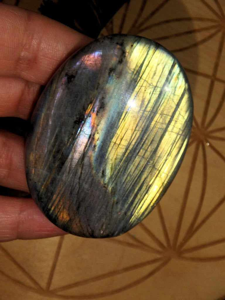 Ribbons of Golden, Pink & Purple Flash Labradorite Hand Held Specimen - Earth Family Crystals