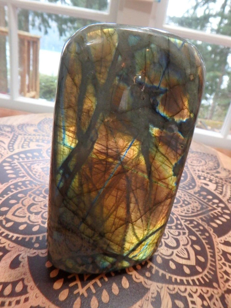 Lush Flashes of Orange & Golden Patterns Large Standing Labradorite Specimen - Earth Family Crystals