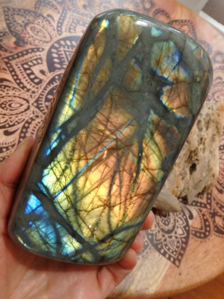 Lush Flashes of Orange & Golden Patterns Large Standing Labradorite Specimen - Earth Family Crystals