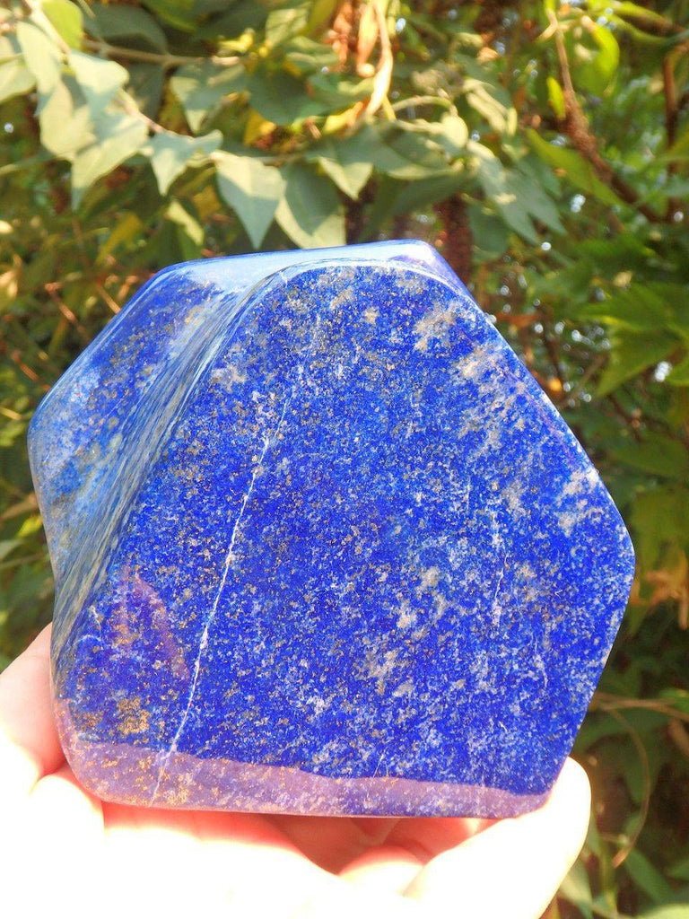 AA Grade Deep Cobalt Blue Lapis Lazuli Golden Galactic Pyrite Sprinkles Standing Display Specimen - Earth Family Crystals