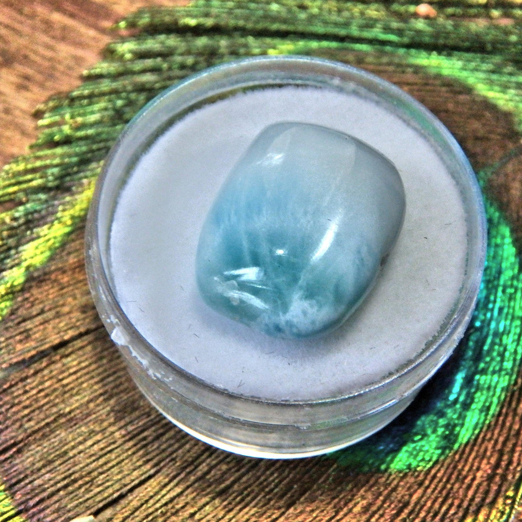 Pretty Patterns Polished Blue Larimar Collectors Specimen in Case 2 - Earth Family Crystals