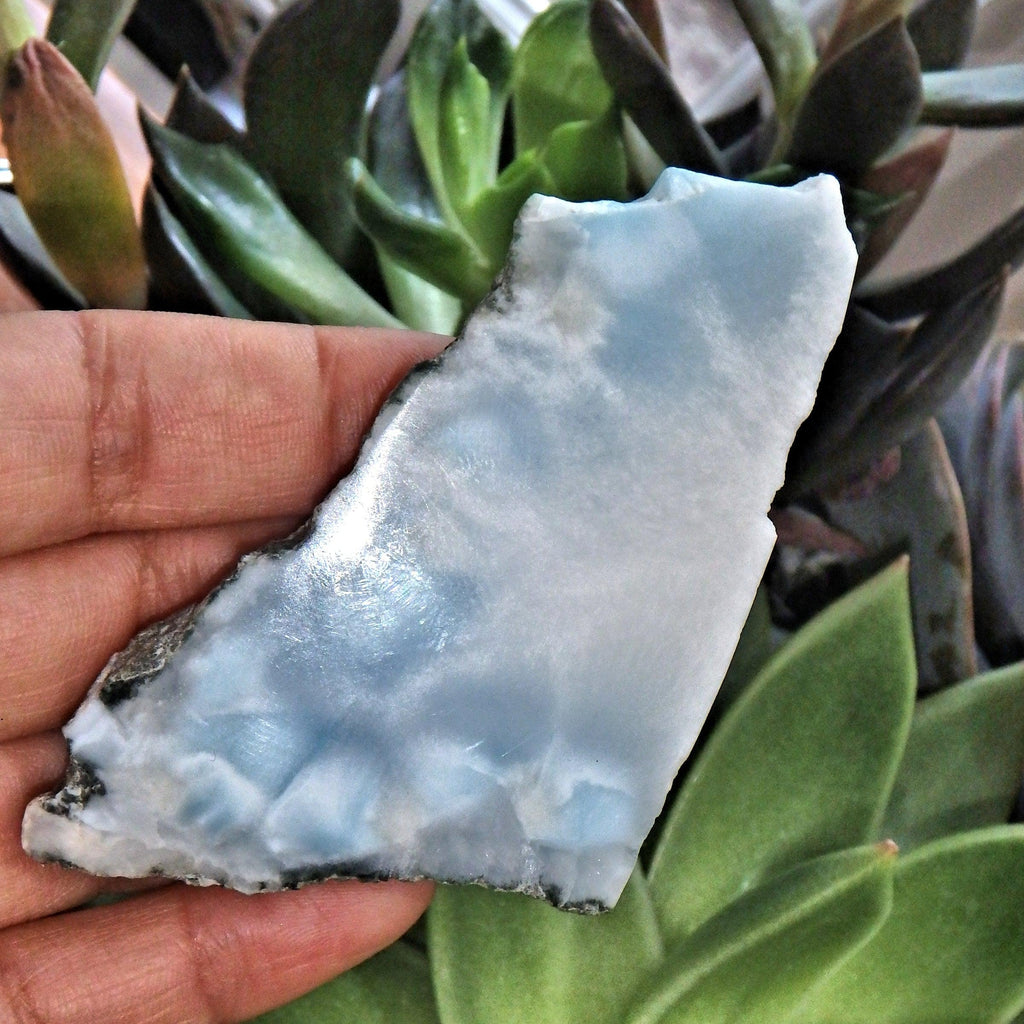 Partially Polished Marbled Blue & White Larimar Slice From The Dominican Republic - Earth Family Crystals