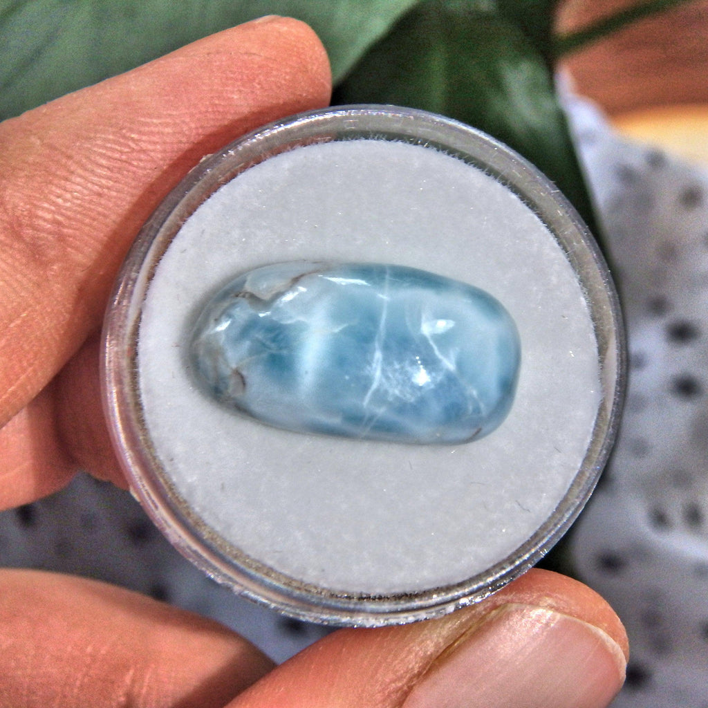 Pretty Blue Polished Larimar in Collectors Box 3 - Earth Family Crystals