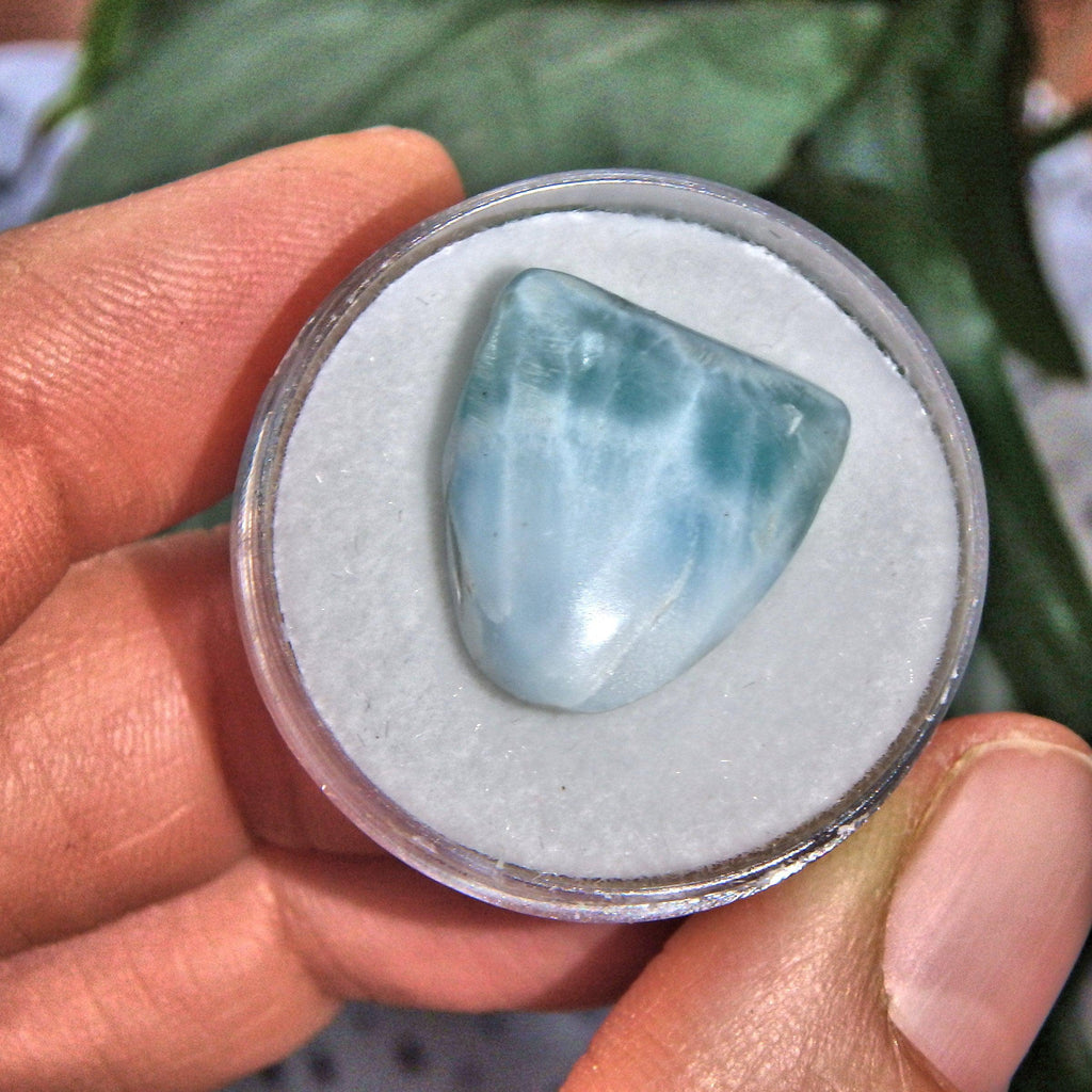 Pretty Blue Polished Larimar in Collectors Box 2 - Earth Family Crystals