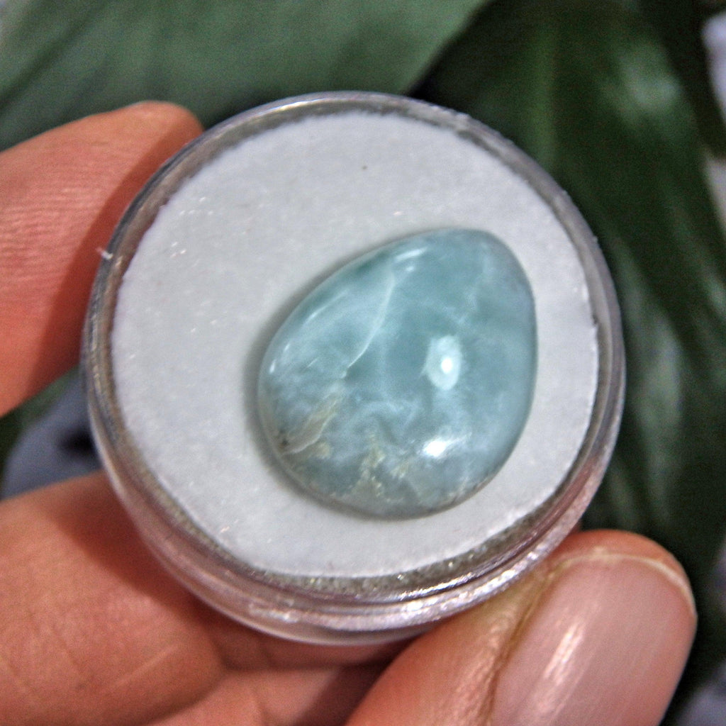 Pretty Blue Polished Larimar in Collectors Box 1 - Earth Family Crystals