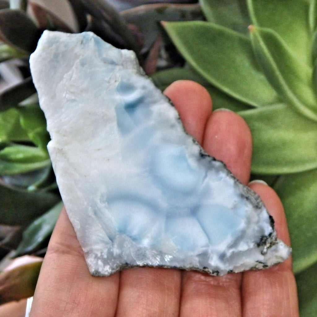 Partially Polished Marbled Blue & White Larimar Slice From The Dominican Republic - Earth Family Crystals