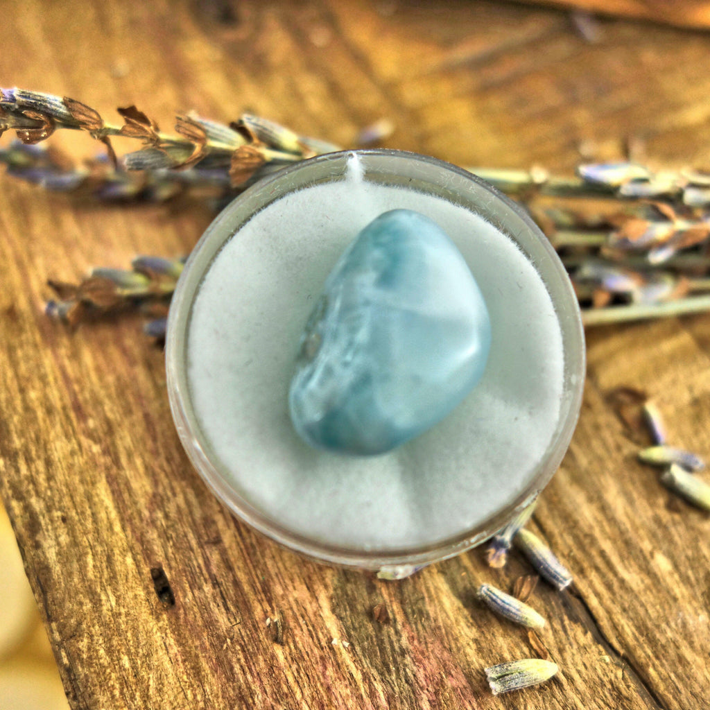 Polished Creamy Blue Larimar in Collectors Box1 - Earth Family Crystals
