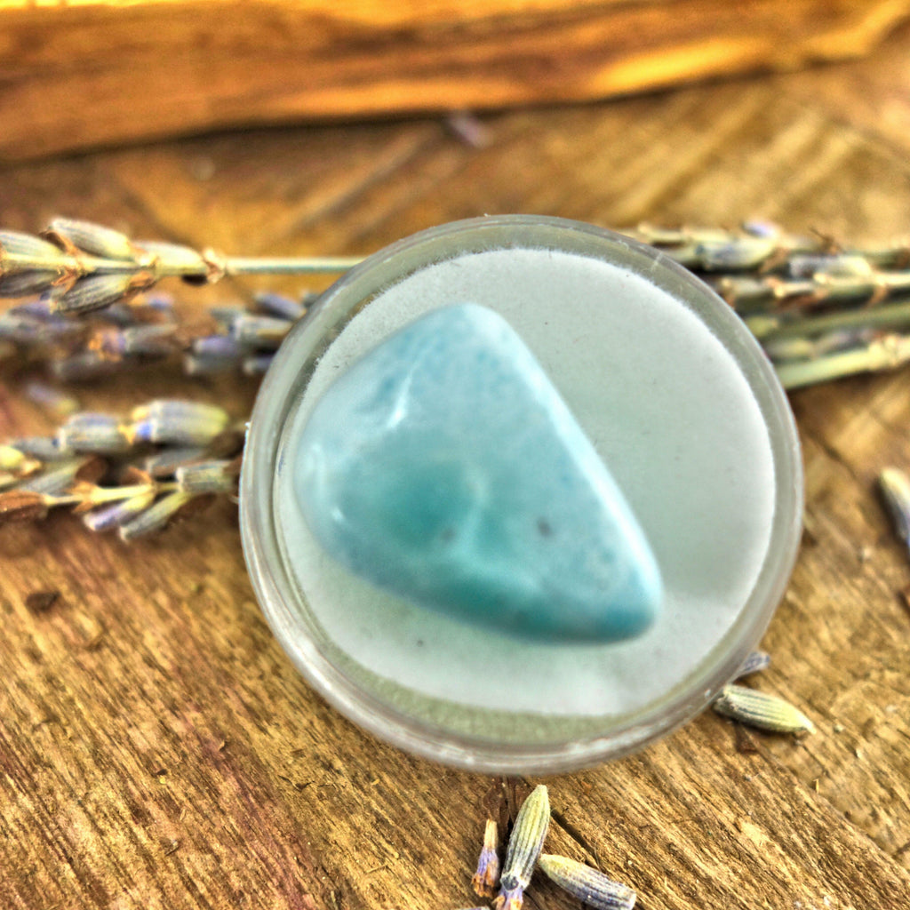 Polished Creamy Blue Larimar in Collectors Box2 - Earth Family Crystals