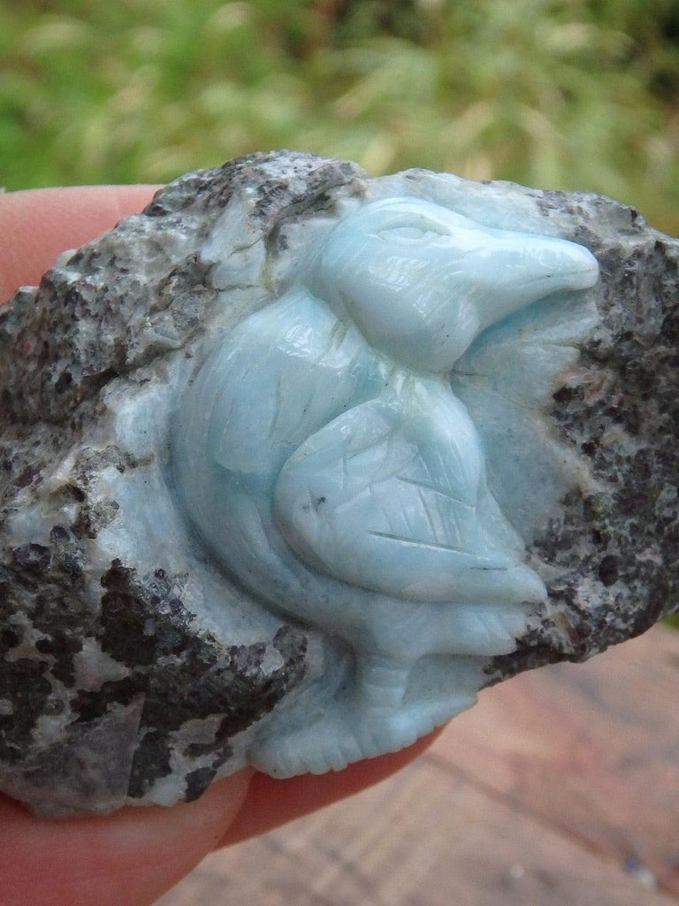 Hand Carved! Amazingly Intricate Bird Larimar Display Specimen - Earth Family Crystals