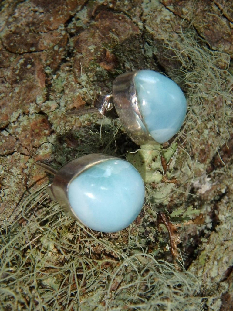 Fantastic Caribbean Blue Larimar Stud Earrings in Sterling Silver 1 - Earth Family Crystals