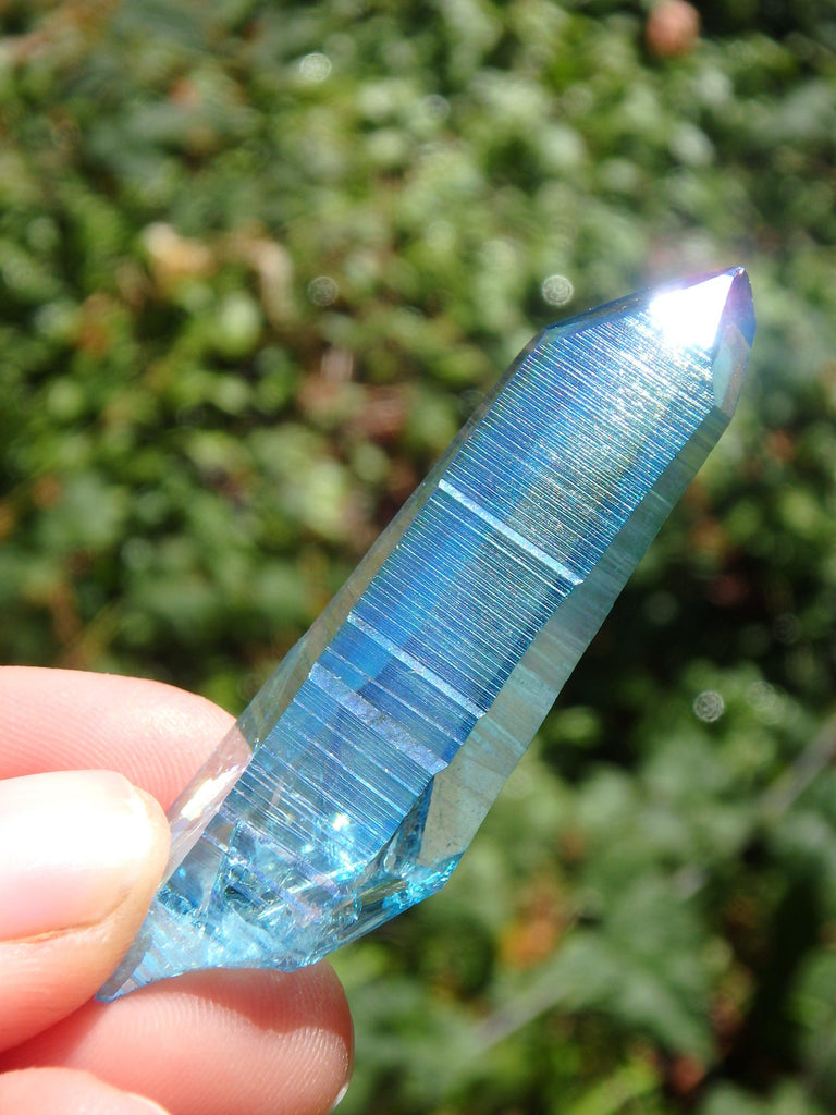 Stunning Blue Brilliance~Aqua Aura Colombian Lemurian Quartz Point 3 - Earth Family Crystals